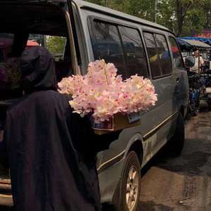 俄罗斯色情巜肉体
